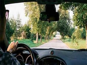 Ply Glue Film Sončni film Sončni film